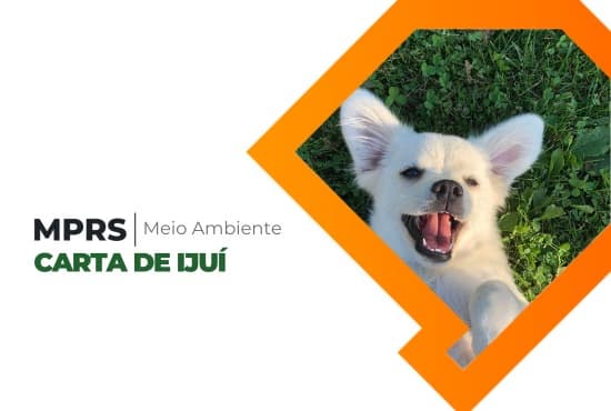 MPRS lança a Carta de Ijuí sobre os direitos dos animais