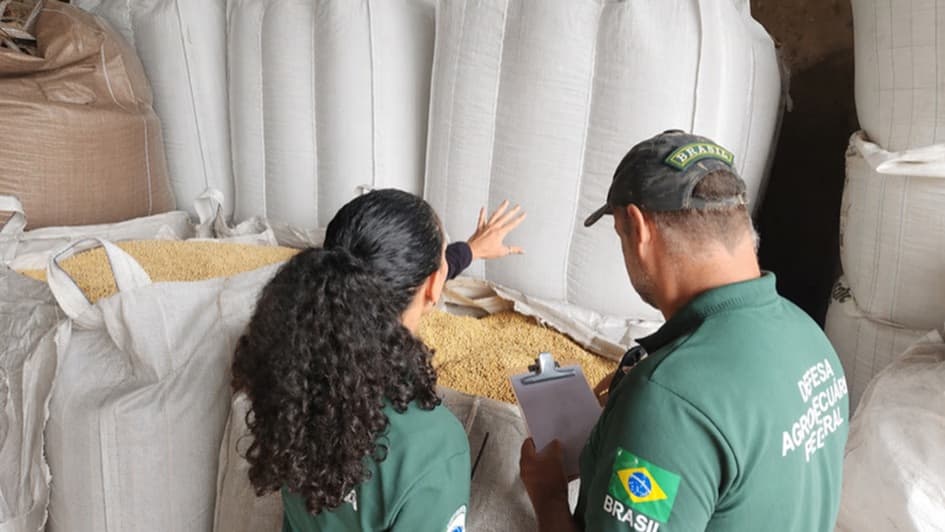 Operação Semente Segura III é deflagrada em municípios da região, incluindo Palmeira das Missões, Ijuí e Cruz Alta