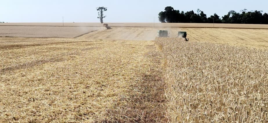 Crise no Abastecimento de Diesel Ameaça Colheita no RS