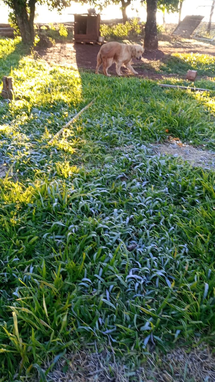Imagem 4