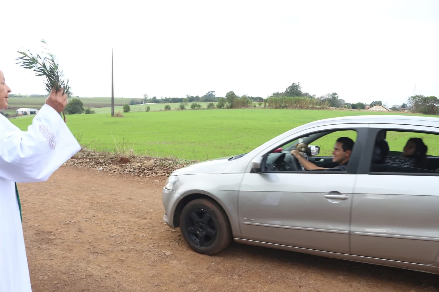 Imagem 7