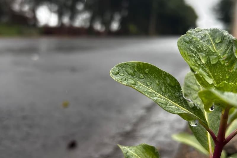 Entre chuva e calor: veja a previsão do tempo para a semana no RS