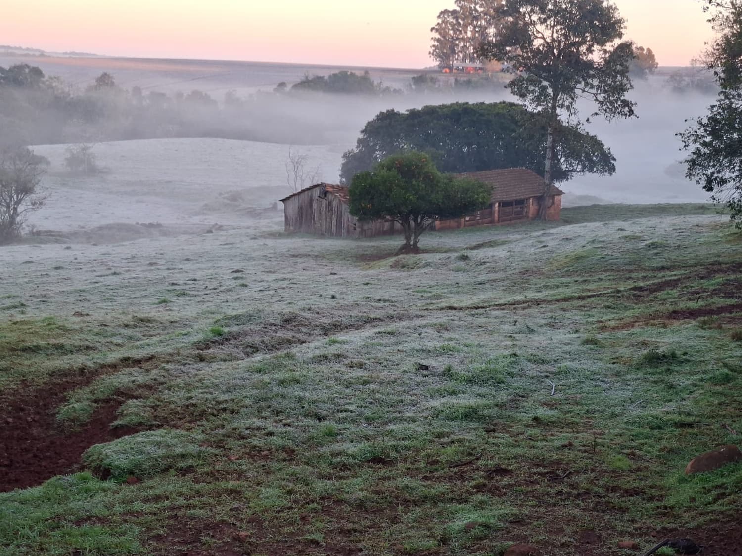 Imagem 5
