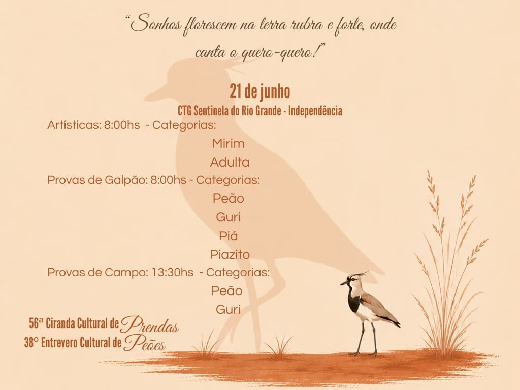 Imagem 4