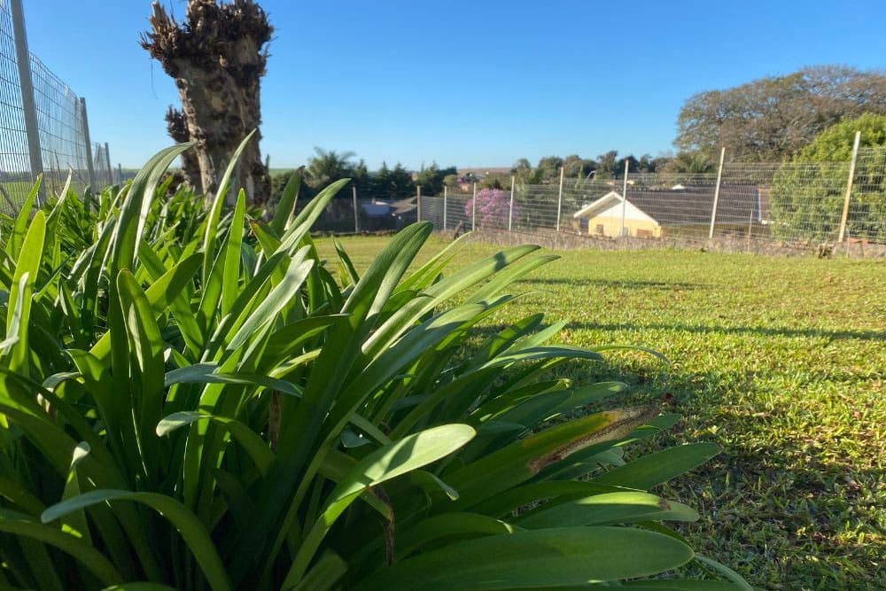 Março se despede com calorão e chance de chuva fraca em parte do RS 