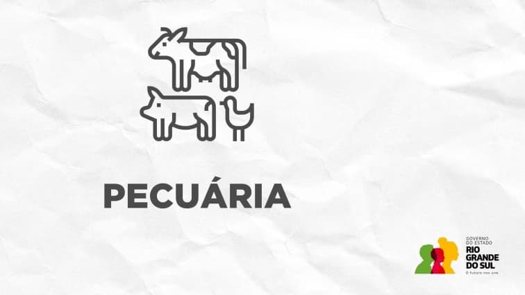 Estado abre período para Declaração de Rebanho 2026 