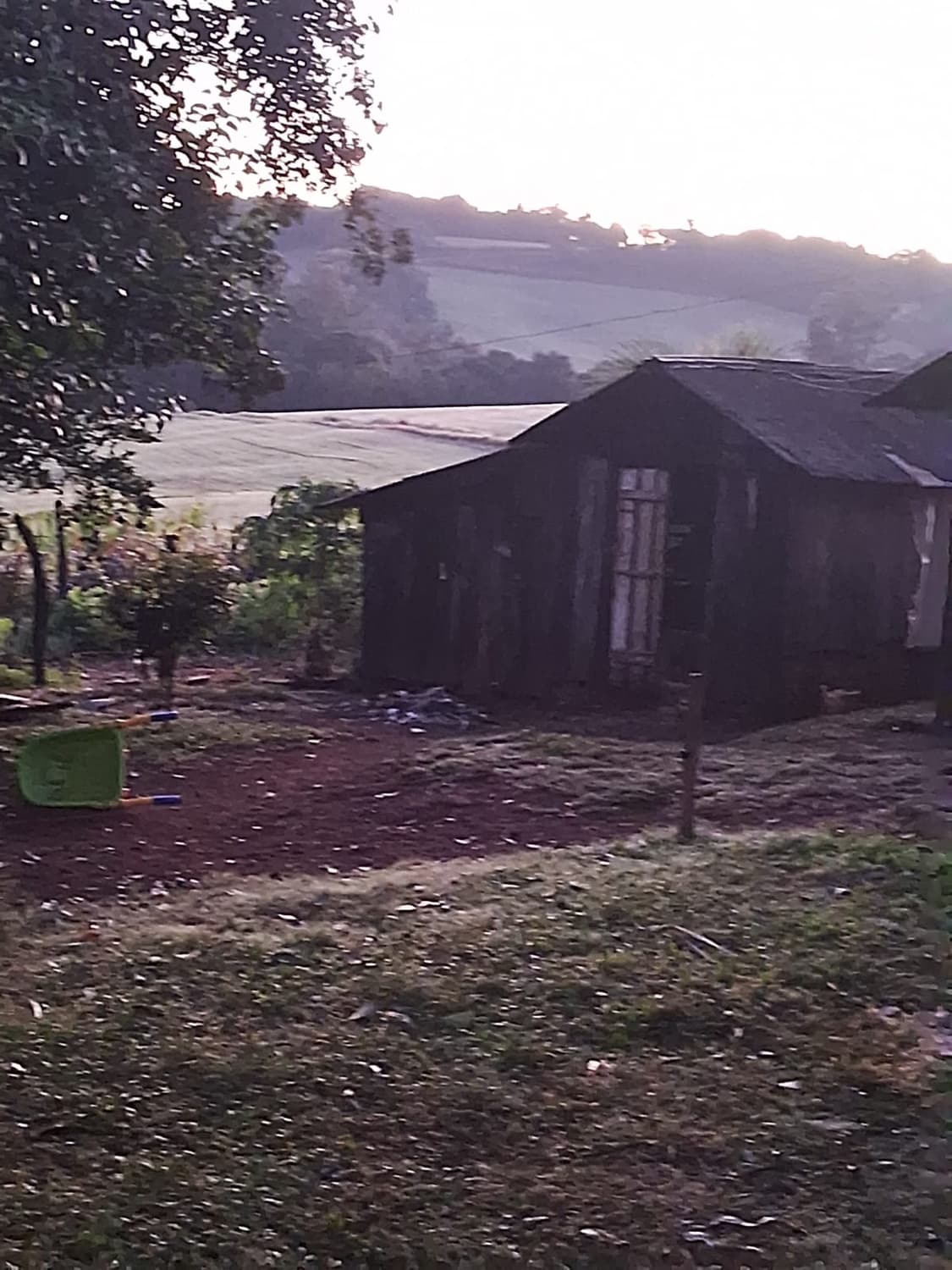 Imagem 3