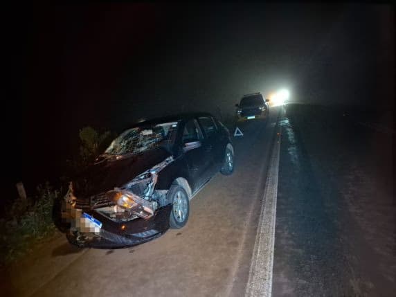 Carro atinge bovino na ERS-155 e tiros são disparados contra grupo que prestava socorro