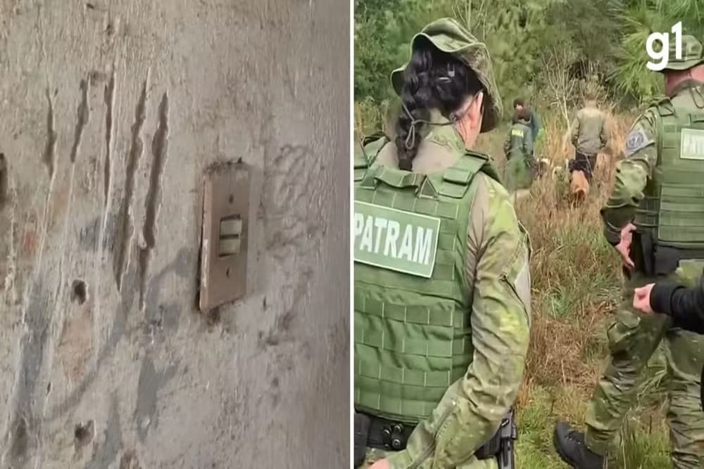 Suspeita de presença de puma mobiliza autoridades em Viamão (RS)