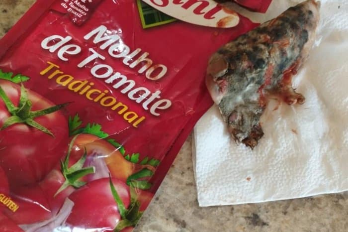 Polícia investiga suspeita de contaminação em molho de tomate em Porto Alegre e mais quatro cidades do RS