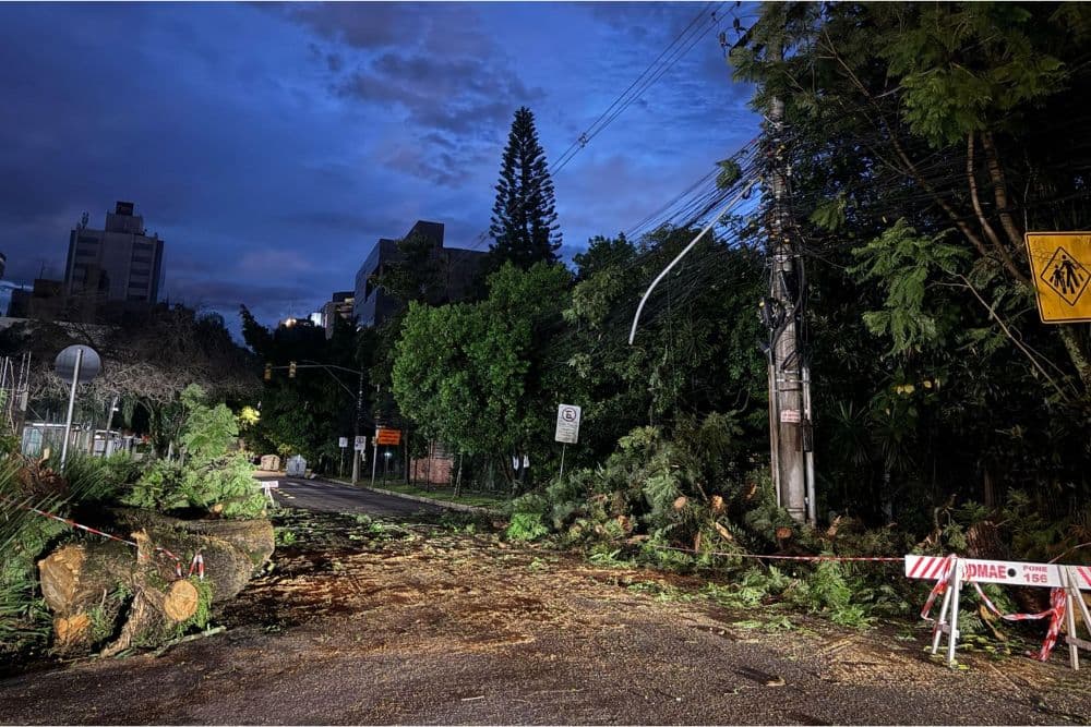 Temporal causa estragos e deixa diversos pontos sem luz no Estado