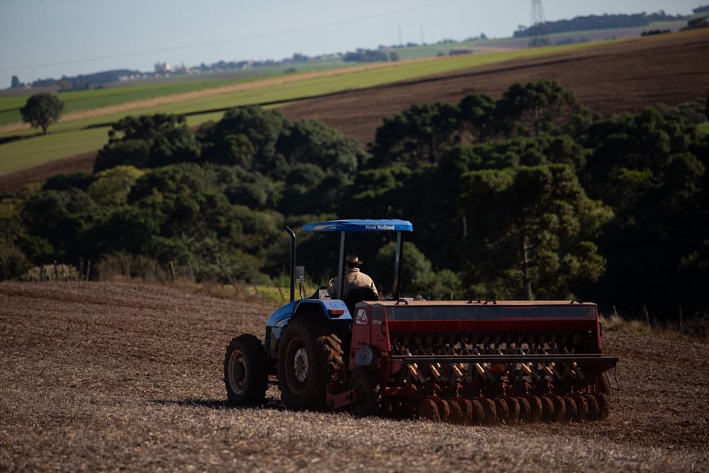 Sicredi das Culturas RS/MG antecipa etapas para liberação do recurso do custeio