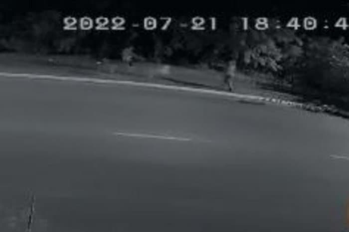 Cachorro é morto a tiros por assaltante ao proteger tutor em Canoas