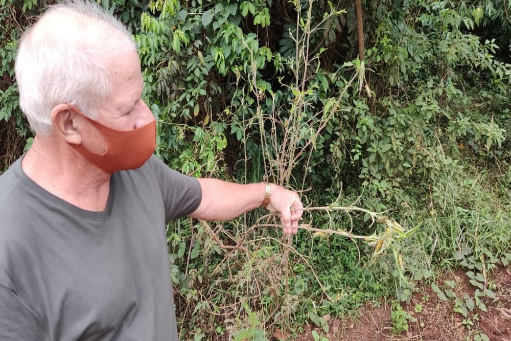 Medidas urgentes precisam serem tomadas, afirma Presidente do STR