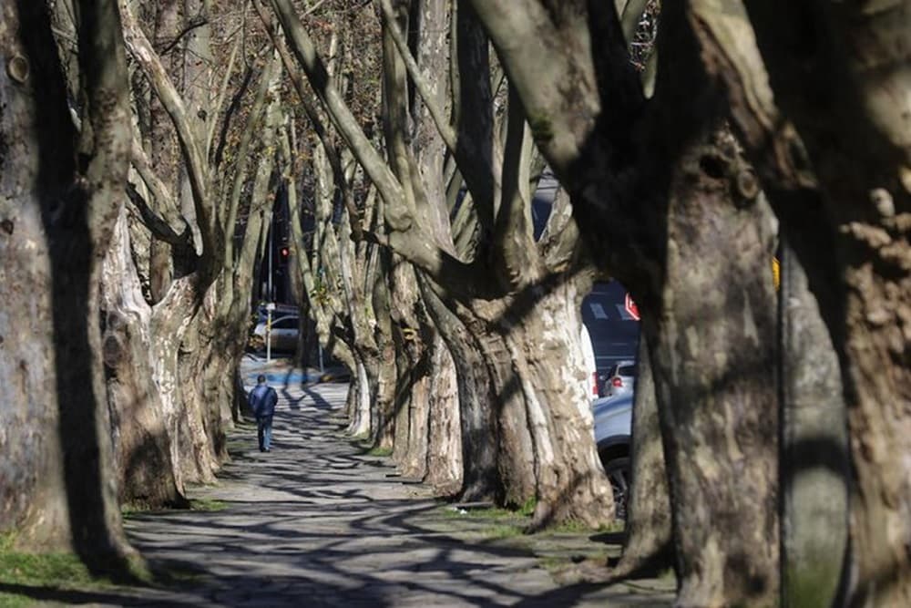 Último dia de veranico: RS terá quinta-feira de sol e máxima de 29°C