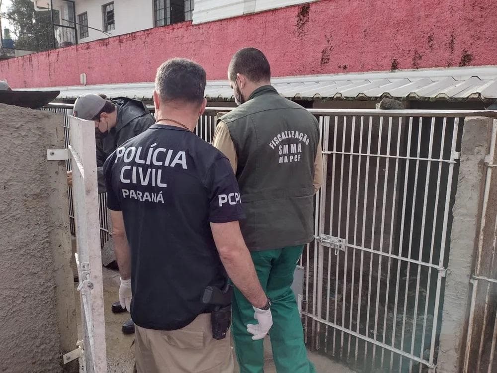 Mulher é presa após polícia resgatar mais de 300 cachorros mantidos em situação de maus-tratos