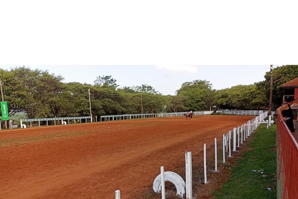 40º Rodeio Crioulo começa com destaque para festival de músicas temáticas