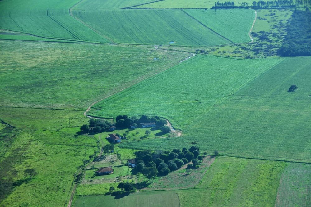 Apresentação de declaração do ITR inicia nesta segunda-feira (12)