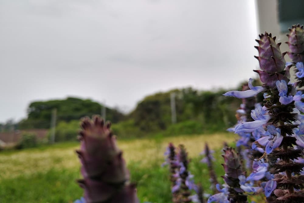 Previsão do tempo: semana começa com chuva em todo o RS