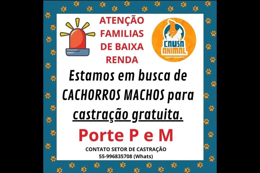 Causa Animal disponibiliza vagas para castração gratuita