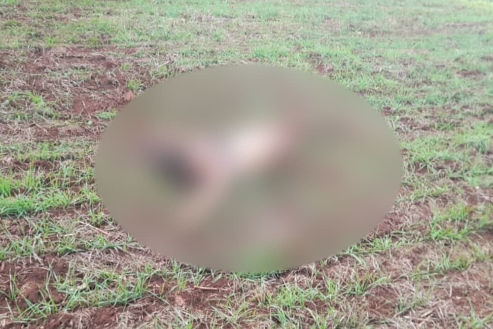 Julgamento de acusado de estupro e homicídio de índigena em Redentora será em fevereiro