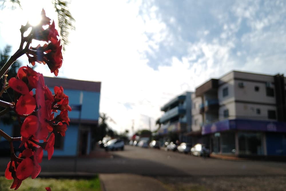 Previsão do Tempo| Primavera inicia nesta semana e deverá ter influência do La Niña