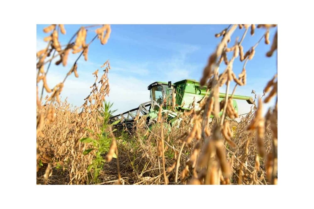 Falta de dessecante trará prejuízos à soja brasileira, alerta Aprosoja