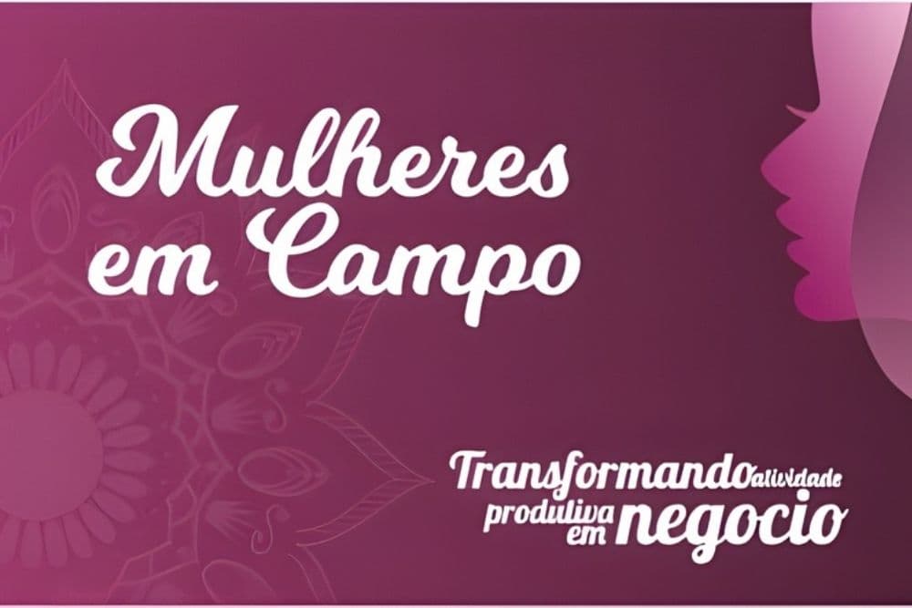 Sindicato Rural de Santo Augusto promove programa gratuito de empreendedorismo e gestão para mulheres