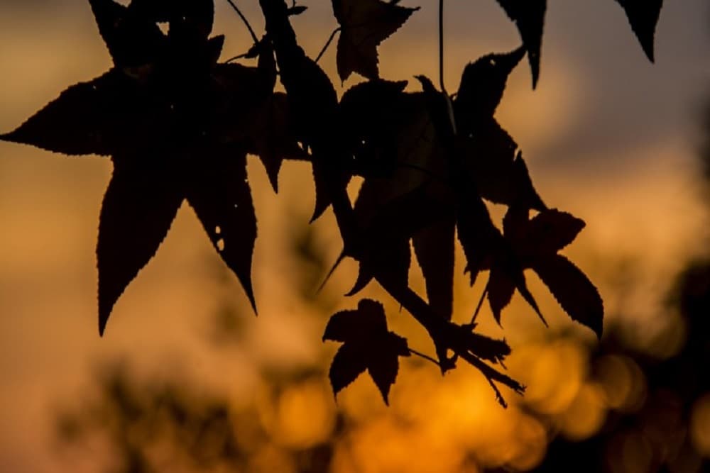 Outono começou nesta quarta com previsão de temperaturas altas e chuvas dentro da normalidade