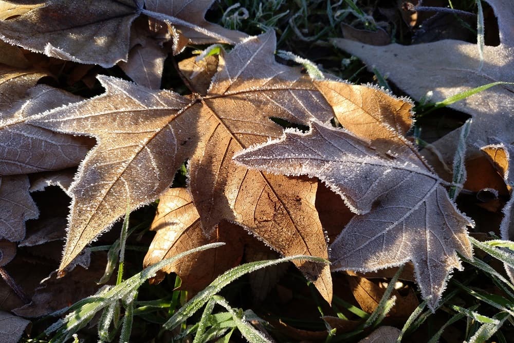 Inmet emite alertas amarelo e laranja devido à chance de neve e ao declínio brusco da temperatura no RS