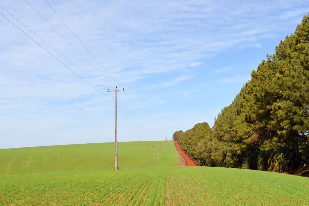 Ceriluz poderá ter redução das tarifas a serem aplicadas aos associados