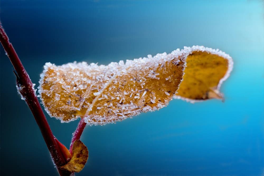 Defesa Civil Nacional alerta para frio intenso no Brasil