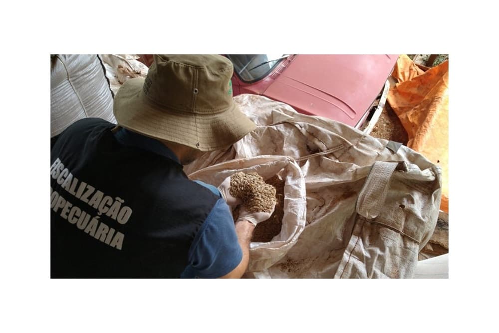 Fiscalização impede que mais de 750 toneladas de grãos sejam comercializadas como sementes