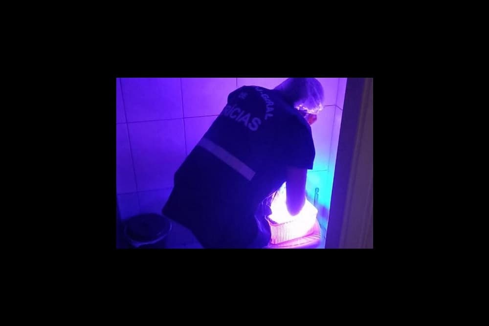 Mulheres são presas suspeitas de explorar sexualmente os próprios filhos