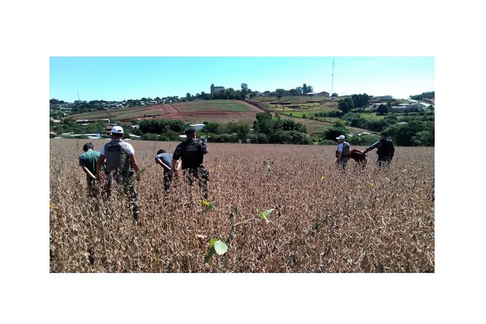 Cinco homens são presos em Palmeira das Missões