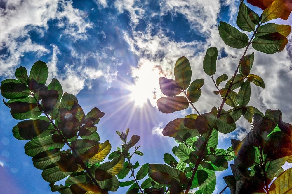 Chuva volta a ganhar força a partir da próxima semana