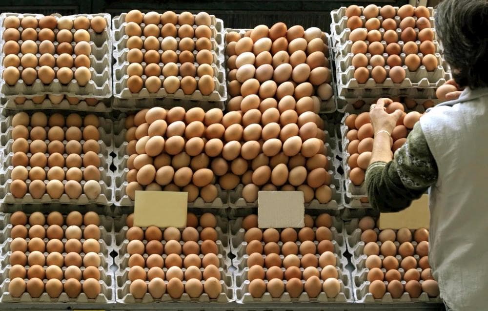 Exportações de ovos crescem 137,7% em 2021