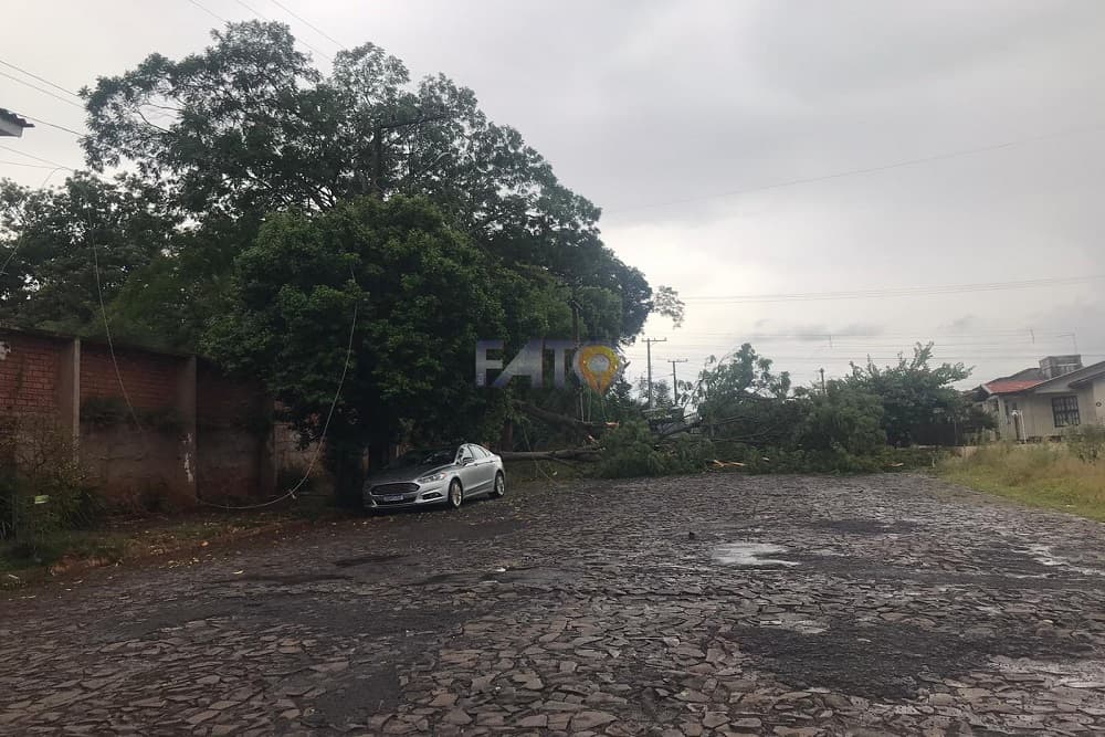 Chuva com granizo causa estragos em Santa Rosa