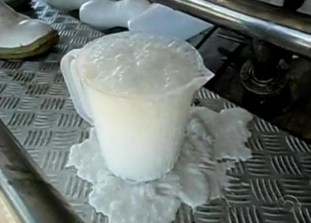 Grupo é condenado por usar soda cáustica e água oxigenada para mascarar qualidade do leite em SC