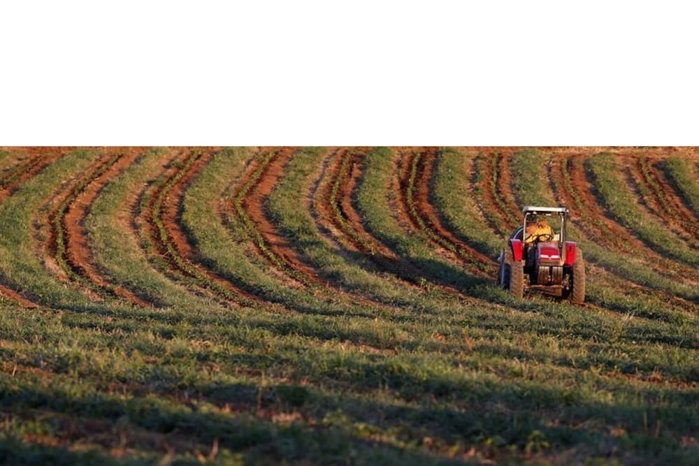 Venda de fertilizantes agrícolas ao Brasil está suspensa por parte de Belarus