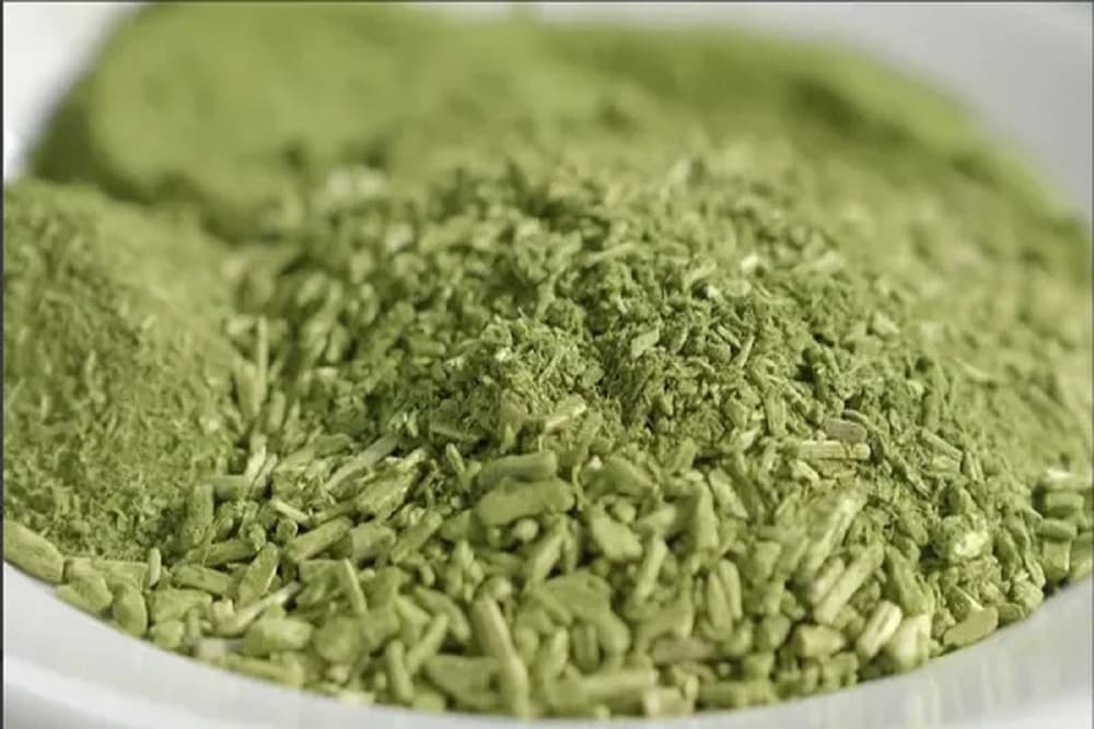 Erva-mate é oficializada como patrimônio cultural imaterial do RS