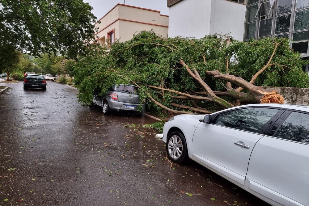 Temporal causa destruição em Iraí
