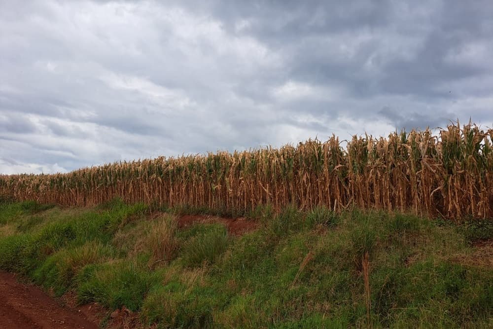 Estado reconhece Situação de Emergência em Santo Augusto