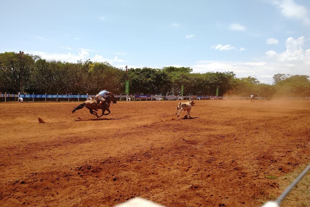 Santo Augusto em clima de 40º Rodeio Crioulo
