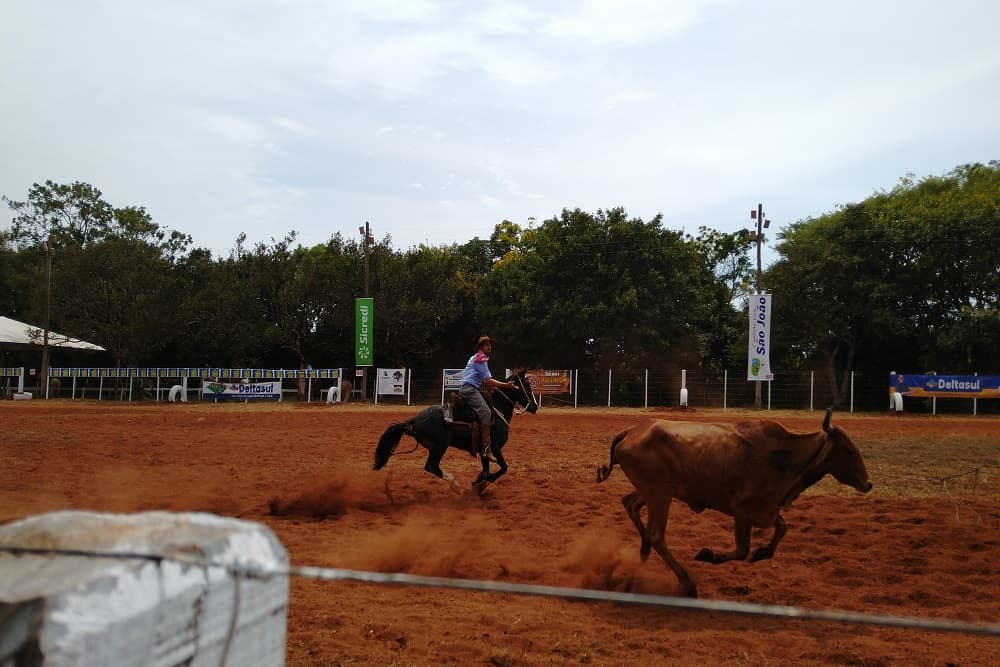Devido as aglomerações, treinos de laço estão proibidos na Estância de Rodeios