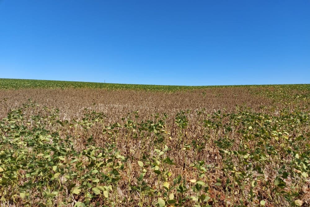 Famílias de comunidades tradicionais e assentados da reforma agrária podem acessar SOS Estiagem a partir de quinta (13)
