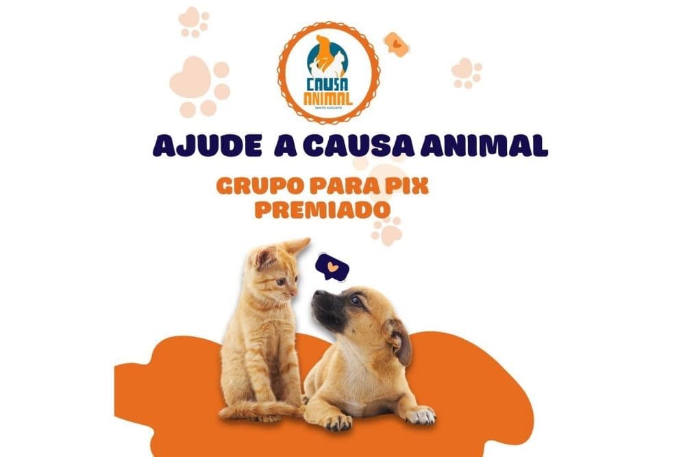 Associação Causa Animal lança projeto “PIX Premiado” para arrecadar fundos em prol dos animais