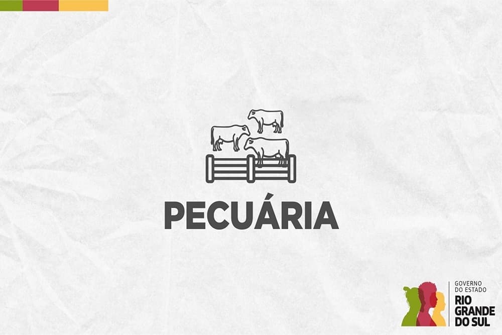 Prazo para Declaração Anual de Rebanho termina na quarta-feira (31)
