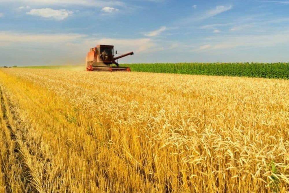 Governo libera mais de R$ 4 bilhões em crédito extraordinário para continuidade do Plano Safra