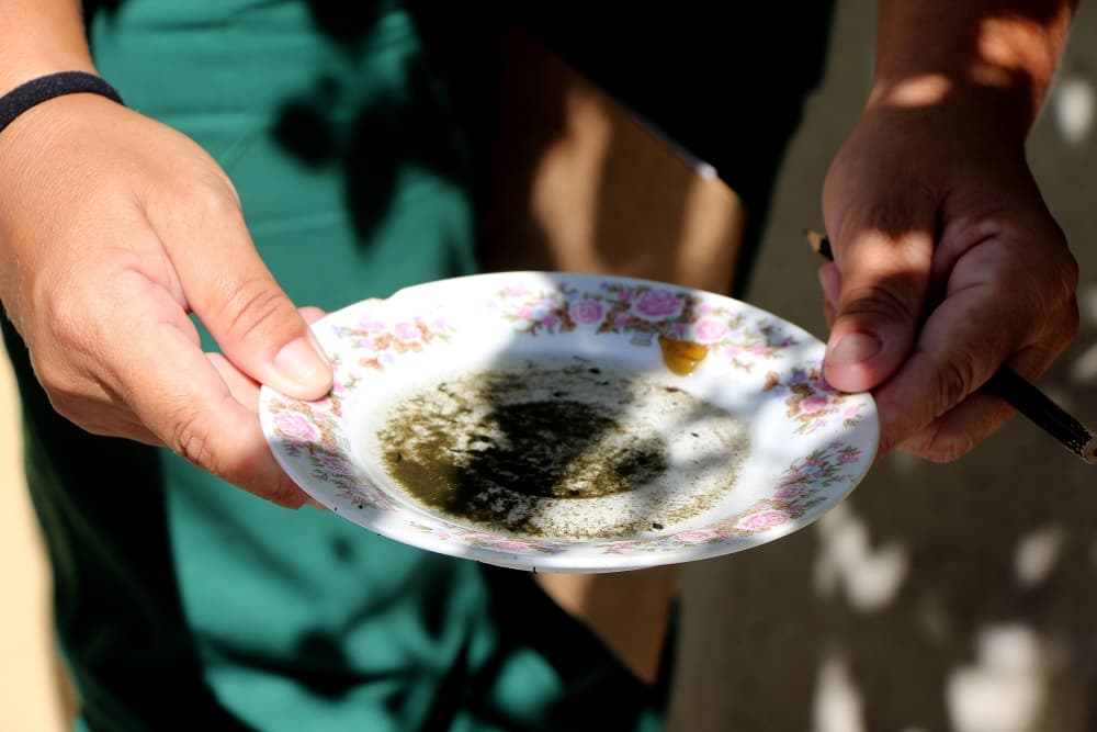 Santo Augusto apresenta queda no índice de infestação do Aedes Aegypti